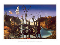 80cm x 60cm Cygnes reflétant des éléphants von Salvador Dali
