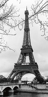 50cm x 100cm Eiffel Tower - Paris, France von Manuela Hoefer