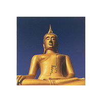 40cm x 40cm Golden Buddha von Anonym