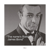 40cm x 40cm James Bond (I Quote) von Pyramid Studios