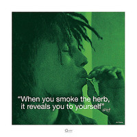 40cm x 40cm Bob Marley (I Quote ´Herb´) von Pyramid Studios