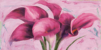 100cm x 50cm Purple Callas von Robin Sadler