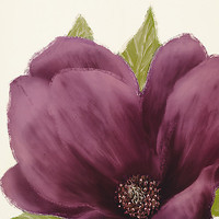 30.5cm x 30.5cm Grandiflora Blush II von Linda Wood