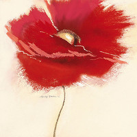 50.8cm x 50.8cm Red Poppy Power III von Marilyn Robertson