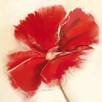 50.8cm x 50.8cm Red Poppy Power IV von Marilyn Robertson