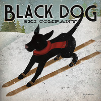 30.5cm x 30.5cm Black Dog Ski von Ryan Fowler