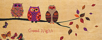 50.8cm x 20.3cm Good Night Owl von Wild Apple Portfolio