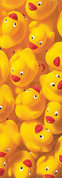 33cm x 95cm Quack Quack III von Dave Brüllmann