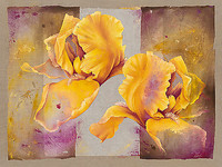 150cm x 112.5cm Iris von Cadoret,Virginie