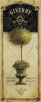 40cm x 100cm Giverny Topiary von STAEHLING