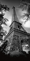 50cm x 100cm Eiffel Turm II von Seidel, Leo