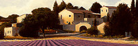 150cm x 50cm Lavender Fields Panel I von Wiens, James