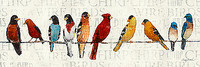 150cm x 50cm The Usual Suspects - Birds on a Wire von Tillmon, Avery