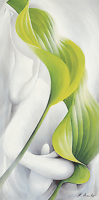 Array Calla I von Annette Schmucker