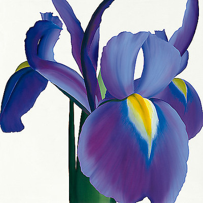 Array Iris von Stephanie Andrew