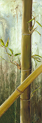 Array Rainforest I von Maritta Haggenmacher