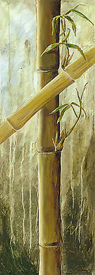 Array Rainforest II von Maritta Haggenmacher