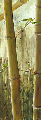 Array Rainforest III von Maritta Haggenmacher