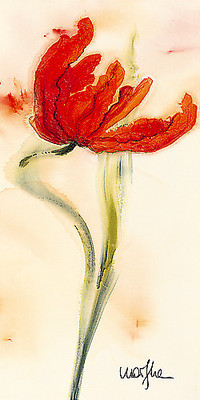 Array Tulipe I von Marthe