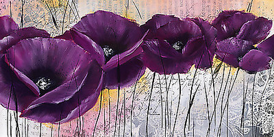 Array Pavot violet I von Isabelle Zacher-Finet