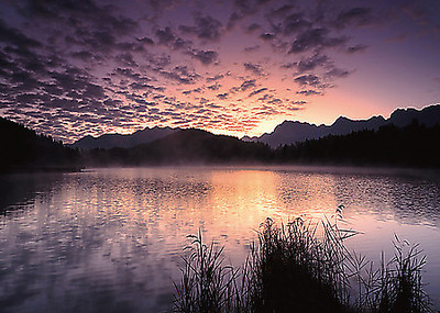 Array Nature Art Color VIII von Uwe Steger