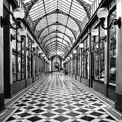 Array Passage des princes, Paris von Dave Butcher