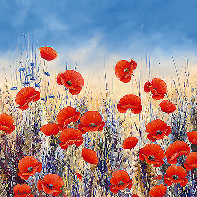 Array Sunset Poppies von Hilary Mayes