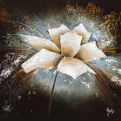 Array Fleur d´étoile I von Jadis