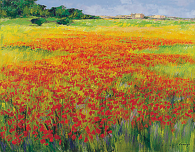 Array Amapolas IV von Jesús P. Camargo