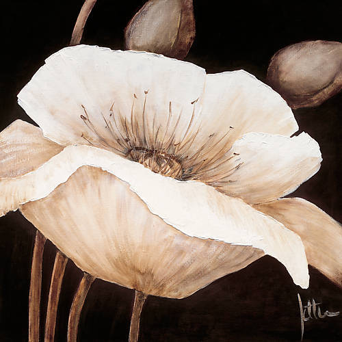 Array Amazing Poppies II von Jettie Roseboom