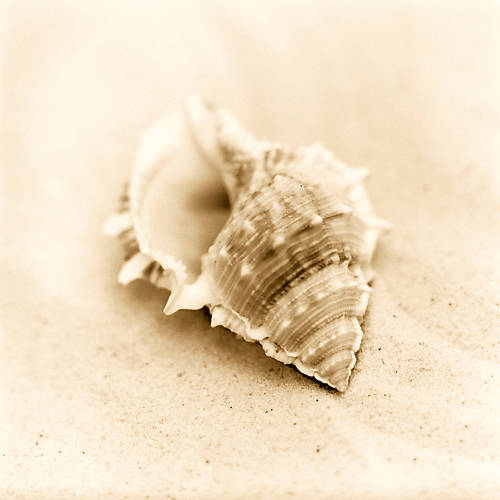 Array Il Oceano No. 3 von Alan Blaustein