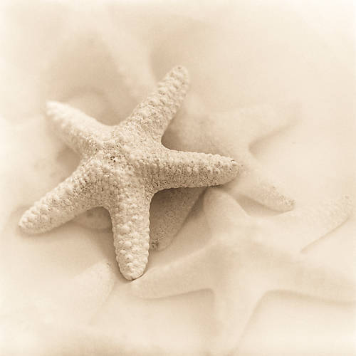 Array Il Oceano No. 1 von Alan Blaustein
