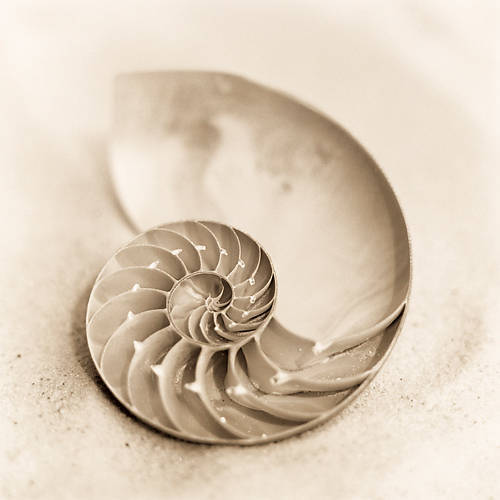 Array Il Oceano No. 4 von Alan Blaustein
