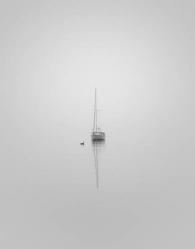 Array Companions von Nicholas Bell