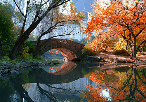 Array Gapstow Bridge, Fall von Michael Chen