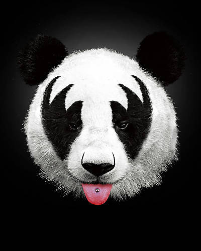 Array Panda Rocks von Robert Farkas