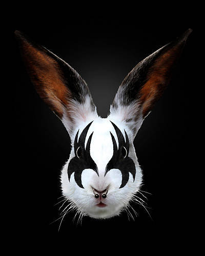 Array Rabbit Rocks von Robert Farkas