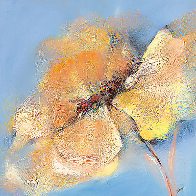 50cm x 50cm Bright Anemone I von Elena Filatov