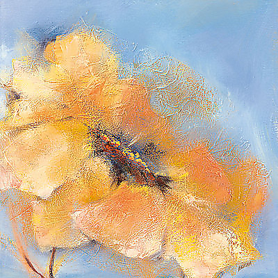 50cm x 50cm Bright Anemone II von Elena Filatov
