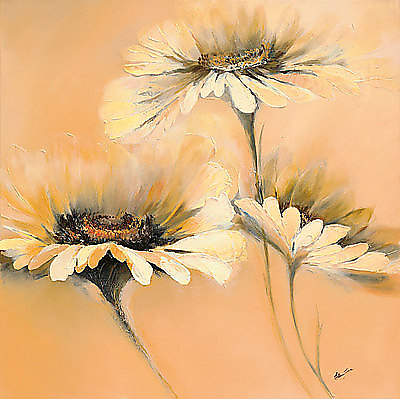 70cm x 70cm Apricot Summer I von Elena Filatov