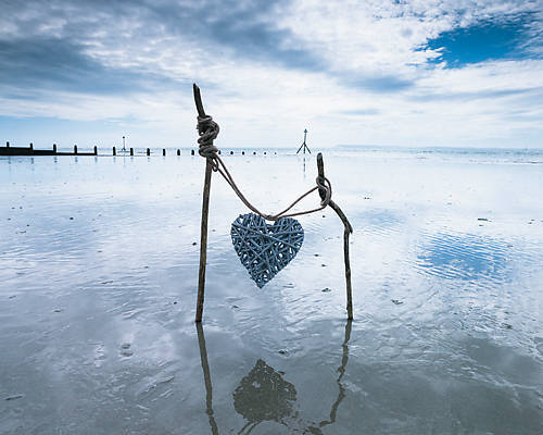 Array Heart von Assaf Frank