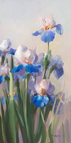 Array Iris French Cancan von Sylvie Vernageau