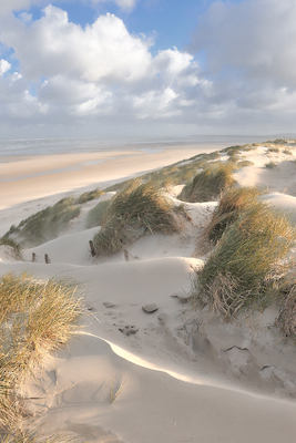 Array Les dunes - pastel von Georges-Félix Cohen