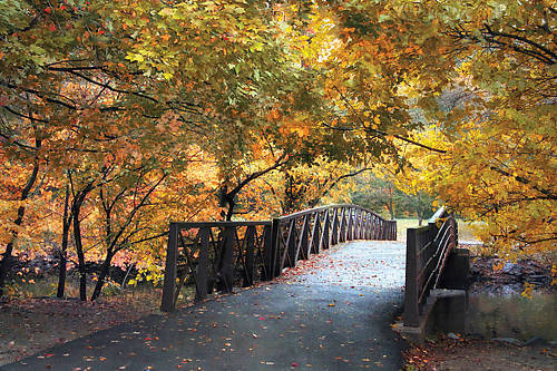 Array Autumn Overpass von Jessica Jenny
