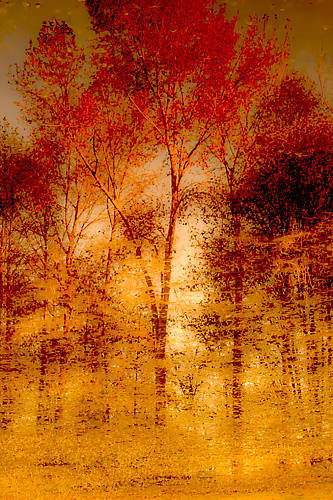 Array Autumnal Grunge von Norm Stelfox