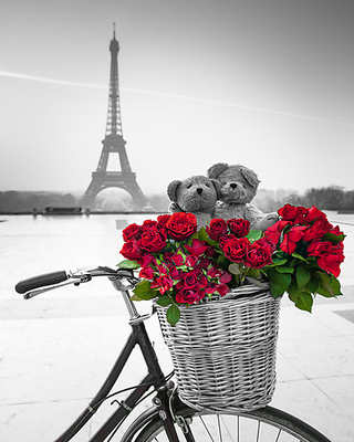 24cm x 30cm Teddy Rendez-vous von Assaf Frank