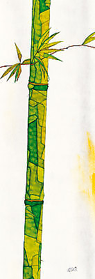 34cm x 99cm Bambus Duo II von Michael Ferner