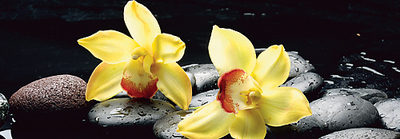 95cm x 33cm Still life with orange orchid with water von crystalfoto