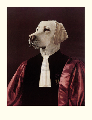 66cm x 86cm The Advocate von Thierry Poncelet
