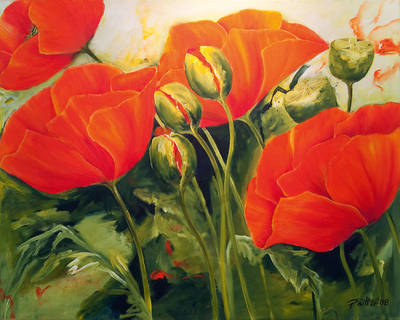 Array Mohnblüten III von Petra Rüther